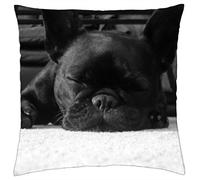 French Bulldog - Throw Pillow Cover Case (18