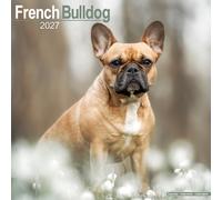 French Bulldog Wall /AVONSI