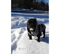 French Bulldog Wearing Winter Coat in the Snow Merry Christmas Greetings Card 125mm x 178mm Including Envelope GC493