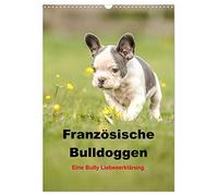 French Bulldogs - A Bully Love Commentary UK-Version (Wall Calendar 2026 DIN A3 Portrait), CALVENDO 12 Month Wall Calendar