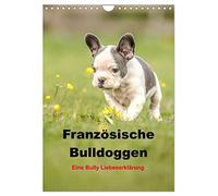 French Bulldogs - A Bully Love Commentary UK-Version (Wall Calendar 2026 DIN A4 Portrait), CALVENDO 12 Month Wall Calendar