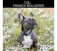 French Bulldogs Calendar 2026: Compact charm and playful personalities featured all year