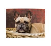 French BullDogs Mall Puppy Brown Little Dogs,500 Pieces Puzzles for Adults-Wooden Jigsaw Puzzle for Adults Elderly