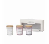 French Connection Pastel Collection Scented Reed Diffuser Gift Set | Luxury Home Fragrance | (Set-50ML X 3, Strawberry Prosecco, Lavender & Cedarwood, Sea Salt & Coconut)