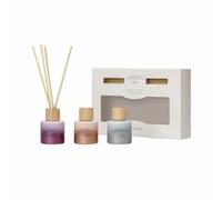 French Connection Ombre Collection Scented Reed Diffuser | Luxury Home Fragrance | 100ML & Trio Gift Set (50ML x 3, Champagne Truffle, Peony & Almond Blosom, Shimmering Lavender)