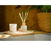 French Connection Pastel Collection Scented Reed Diffuser & Candle Gift Set | Luxury Home Fragrance | (Set-100ML & 141G, Sea Salt & Coconut)