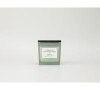 French Connection Square Range - Mango Mojito Candle 200g (1-Wick) - FCC003NS in Green French Connection Green
