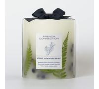 French Connection Botanical Infused Scented Pillar Candle | Real Dried Botanicals | Vegetable Wax Blend | 5% Fragrance Oil | Long-Lasting Home Fragrance Gift, (Medium, Vetivert, Eucalyptus & Sea Salt)