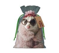 French Fashion Model Ferrets Print Christmas Gift Bag, Drawstring Christmas Bags Reusable Gift Bags With Name Tags