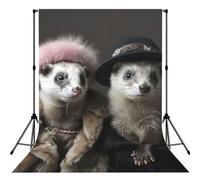 French Fashion Model Ferrets Print Photo Studio Background 5x7ft Soft Photo Backdrop Curtain For Studio Content Creator Equipment