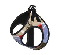 French Flag Print Harness Leash Set For Cat Dog, Reflective Adjustable Escape-Proof Vest Lead With Soft Breathable Mesh, For Small Pets And Kitten Puppy