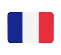 French Flag Print Non-Slip Diatomaceous Bathroom Mat, for Kitchen, Shower - Quick-Dry Absorbent Area Rug, 15.7x23.6in