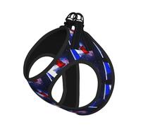 French Flag Print Small Dog Cat Pet Leash Vest Harness, Reflective Vest For Outdoor Walk Hike