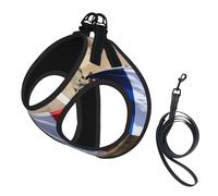 French Flag Print Small Dog Cat Pet Leash Vest Harness, Reflective Vest For Outdoor Walk Hike