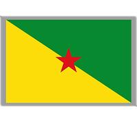 FRENCH GUIANA FLAG REFRIDGERATOR MAGNET