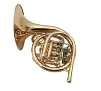 French Horn In Bb Major Is A Professional Practice And Performance Instrument. Double-key French horn instrument