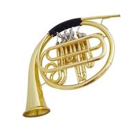 french horn instrument Single French Horn In B Flat Key Beginner's Entry-level Test Performance Three-button Single French Horn