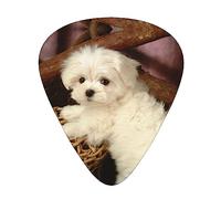 French Poodle Guitar Pick 12 Picks Fashion Personalized Bass Pick Durable Electric Guitar Plectrums Instrument Accessories