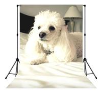 French Poodle Print Photo Studio Background 5x7ft Soft Photo Backdrop Curtain For Studio Content Creator Equipment