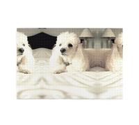 french poodle Printed Adult Fun Puzzle wooden puzzle in a plastic box with letters printed on the back home decor party toy