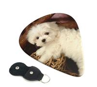 French Poodle Printed Guitar Picks 6 Pcs Guitar Plectrum Acoustic Electric Guitar Pick For Bass Electric Acoustic Guitars Ukulele Thin Medium Thick Set 0.96mm
