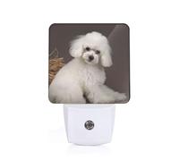 French Poodle Printed Led Night Light Plug in Wall with Dusk to Dawn Sensor Plug in Night Light for Hallway,Bathroom,Bedroom,Kitchen,Stairs,Acrylic Energy Efficient Night Lamp
