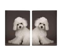 French Poodle Printed Passport Cover Case Passport Holder For Travel Passport Cards Protector Travel Covers Wallet Case RFID Blocking Leather Card Case for Women Men, French Poodle, 20.3x13.8cm,
