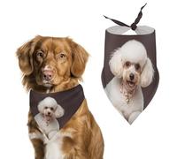 French PoodlePet Scarf Dog Bandana for Small Medium Large Exquisite Unique Cat Dogs Kerchief Premium Fabric Cute Triangle Cat Dogs Bibs Scarf
