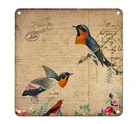 French Retro Bird Floral Tin Sign Old Newspaper Print Metal Plaque Southern Style Art Farmhouse Garden Parch Iron Poster Painting an Ideal Female Gift for Girlfriend Mom Grandma 12x12in