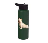 Frenchie Cute Yoga Funny French Bulldog Dog Mom Gift Stainless Steel Insulated Water Bottle