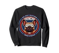 Frenchie Sleep Is Sacred Humor Sweatshirt