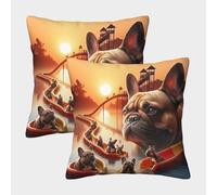 Frenchie Slide Fun Pillow Covers 2 Pack Cozy Pillowcases Art Cushion Case Polyester Decorative for Sofa Living Room Bed Home 40x40cm