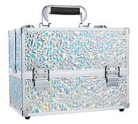 Frenessa 6 Trays Makeup Box Cosmetics Case Jewelry Organiser Vanity Make Up Storage Box Beauty Train Case Lockable with Keys, Silver