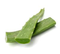 Fresh Aloe Vera Leaves 3 kg -/+ 10% | Natural Aloe Barbadensis | 100% Raw & Unprocessed | Ideal for Drinks, Juicing, Skin & Hair Care | Freshly Harvested, Premium Quality