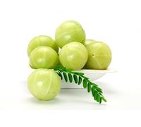 Fresh Amla I Indian Origin I Gooseberry I 750G