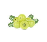 Fresh Amla (Indian Gooseberry) 5kg - Premium Quality from India | Rich in Vitamin C & Antioxidants | Ideal for Juicing, Pickles & Ayurvedic Remedies | 100% Natural Fresh Fruit