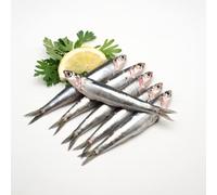 Fresh Anchovies 6kg (±10%) - Premium Whole Anchovies, Wild-Caught, Ideal for Frying, Marinating & Mediterranean Dishes