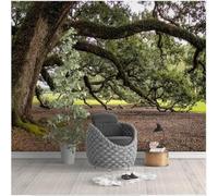 Fresh Ancient Large Trees Fallen Leaves Grass Scenery 3D Wallpaper Silky Texture Home Study Office Grey Dining Room Sofa Bedroom Living Room TV Backdrop-400cm×280cm