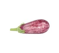 Fresh Aubergine Graffiti Stripe Tiger 4kg | Premium Quality Striped Eggplants | Vibrant, Flavourful & Tender | Ideal for Roasting, Grilling, Mediterranean & Asian Dishes