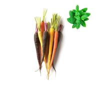 Fresh Baby Rainbow Carrots 6 Units x 2 packs | Fresh Mint Included