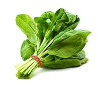 Fresh Baby Spinach 1 Pack x 10 Pack | Tender Young Spinach Leaves | Washed & Ready to Use | Ideal for Salads, Smoothies, and Cooking.