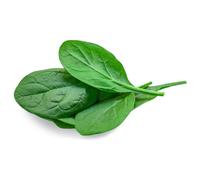 Fresh Baby Spinach Leaves 200g | Tender Baby Leaf Spinach | Washed & Ready to Eat | Perfect for Salads, Smoothies & Cooking | Premium Quality Fresh Produce