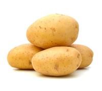 Fresh Baking Potatoes x 20 Units | Premium Large Potatoes for Baking, Roasting & Mashing | Farm Fresh Quality | Ideal for Restaurants, Meal Prep & Home Cooking