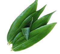 Fresh Banana Leaves, 100 pcs, 13" L x 3.2" W