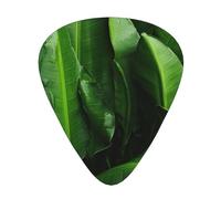 Fresh banana leaves print Guitar Picks 12 Pack Assorted Thickness for Guitar,ukulele,0.46/0.71/0.96mm