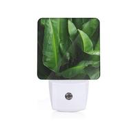 Fresh Banana Leaves Print Plug-in Night Light for Bedroom Hallway Dorm Living Room Illumination Home Decor