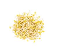 Fresh Bean Sprouts 4kg | Crisp & Crunchy Mung Bean Sprouts | Premium Quality for Stir-Fries, Salads, Soups & Asian Cooking | Bulk Pack for Home, Restaurants & Catering