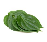 Fresh Betel Leaves 4kg -/+10% | Premium Quality Paan Leaves | Ideal for Culinary Use, Cultural Ceremonies & Traditional Preparations