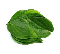 Fresh Betel Leaves for Puja, Religious Ceremonies, Paan Preparation, Traditional Indian Functions, 100% Natural (25G (4 to 5 Leaf Approx))