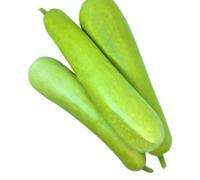 Fresh Bottle Gourd I Dudhi I Nutrient-Rich, Low-Calorie Superfood I Pack of 3